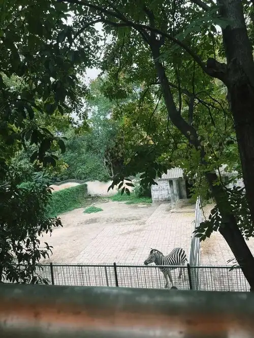Anqing Animal Park