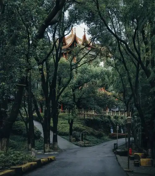 Jin Zhui Shan Park