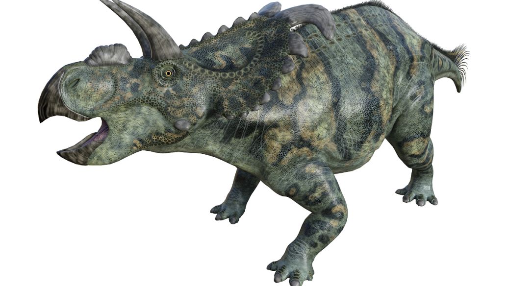 Zhonghua Conglong Yuan