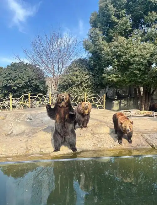 Yancheng Wild Animal World