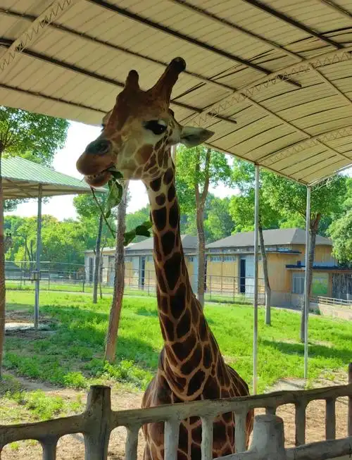 Changzhou Yan Cheng Wild Animal World