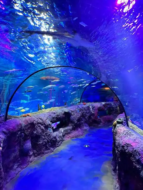 Daya Bay Ocean World