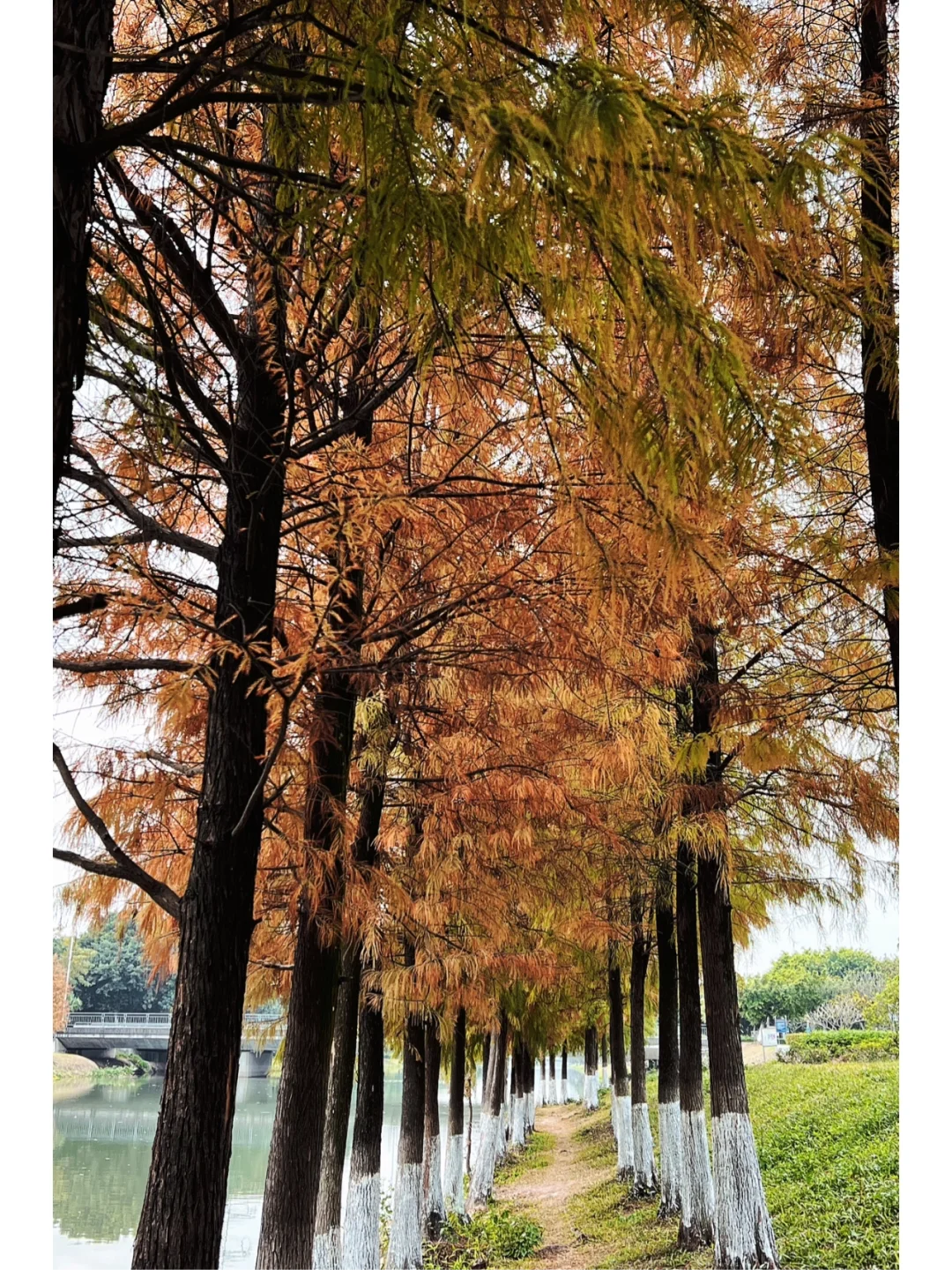 Dongguan Ecological Garden