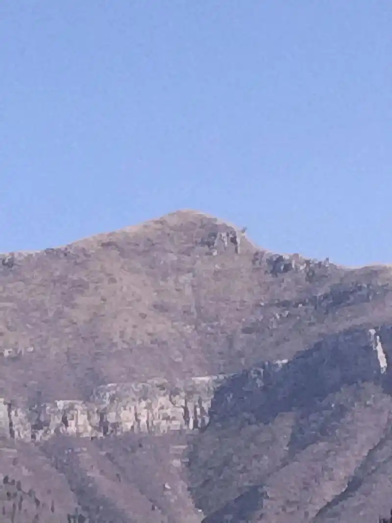 Shihu City Lion & Leopard Cave