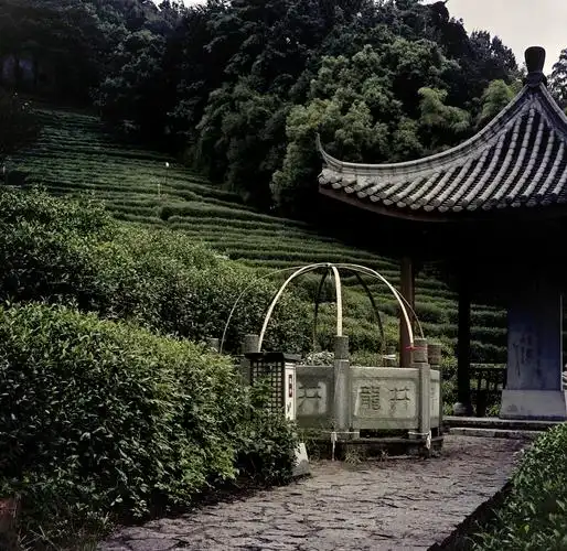 Longjing Village