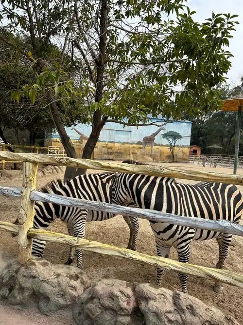Guilin Zoo
