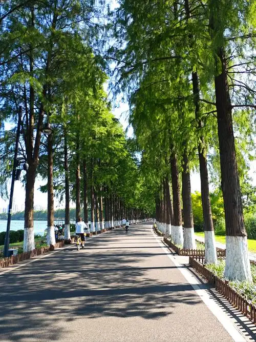 Donghu Greenway