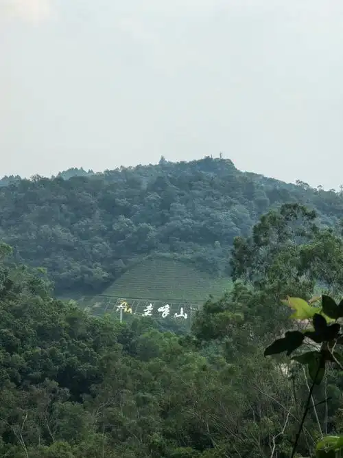 Queifeng Mountain National Forest Park