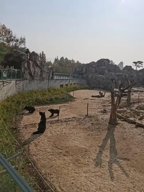 Cangzhou Animal Park