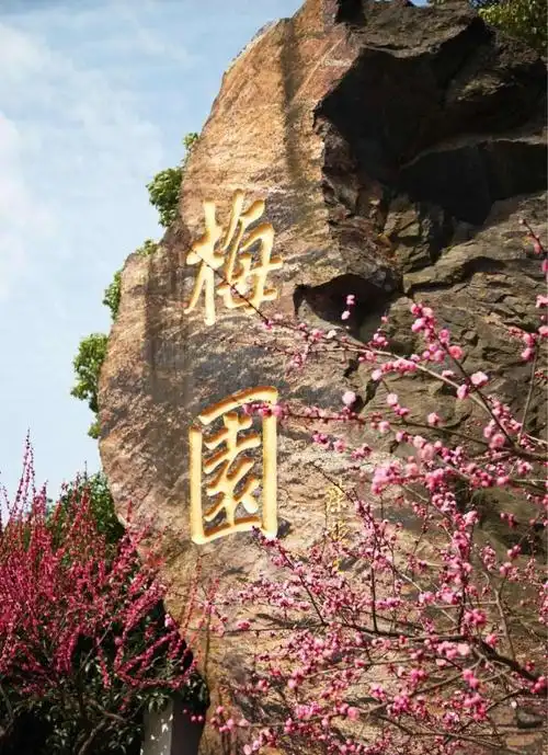 Plum Garden in Taizhou