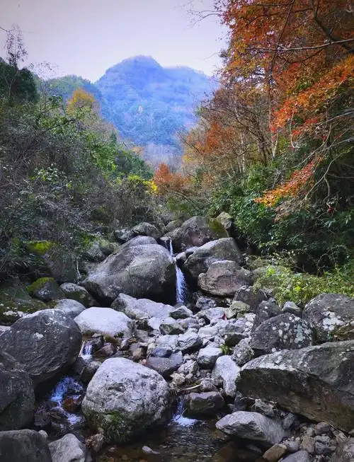 Longmen Shan Jingqiu