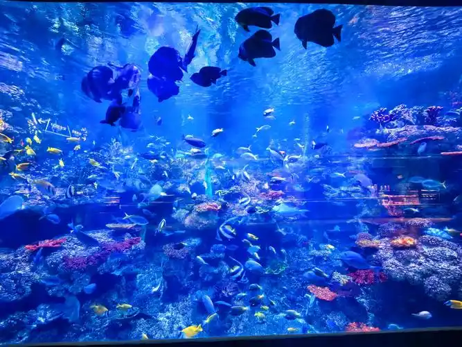 Tropical Ocean Park