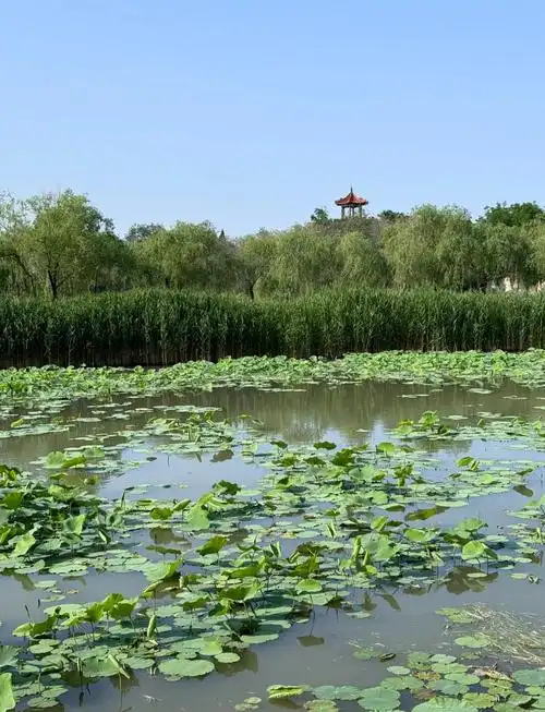 Zibo Park