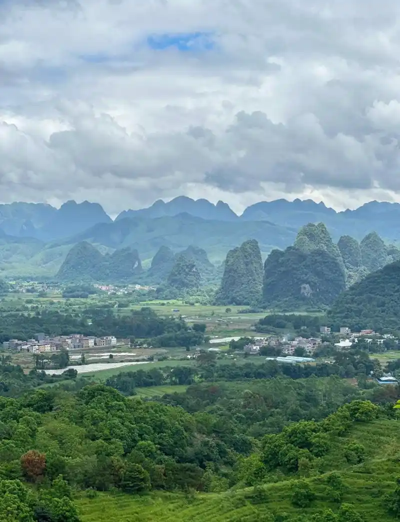 Yingxi Peak Forest Landscape