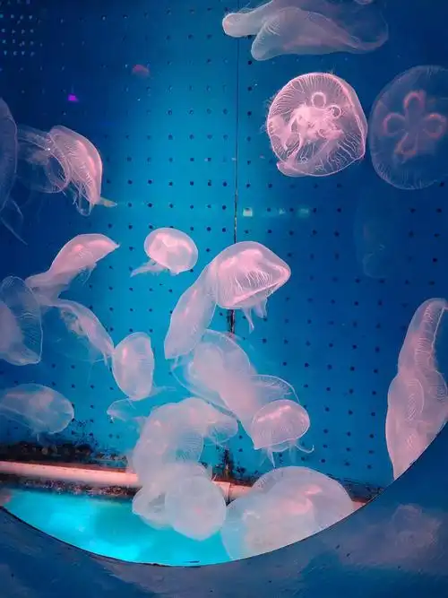 Yantai Ocean Polar World