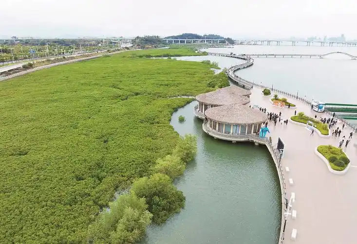 Ye Li Dao Hongshu Lin