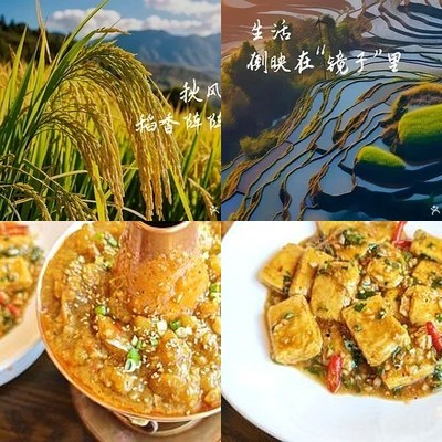Yun Shu Creative Yunnan Cuisine - Private Dining (Xueqing Road Store)
