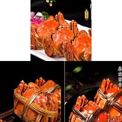 Yangcheng Lake Daoxiangwan (Wudaokou Branch)