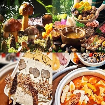 Tambaishi Yunnan Wild Mushrooms Healthy Hot Pot (Hu Fang Bridge Store)
