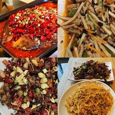 Qin Jin Hand-Pulled Noodles Sichuan Cuisine (Wanlin Technology Plaza Branch)