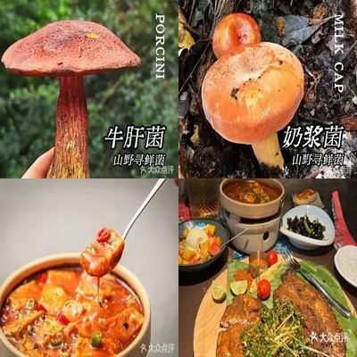 Xiao Dian Niang · Yunnan Cuisine (Shangdi Branch)