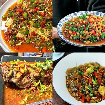 Jiao Dian Chuan Cai Zhi Zu Shiyi Dao Cai (Housha Yu Dian)