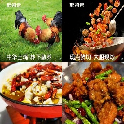 Zui de Yi · Shan Chai Yong Chao Tu Ji (Si Hui Dong Dian)