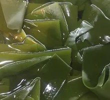 Kelp