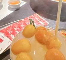 Yellow Skin Fruit Camellia