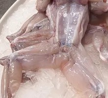 Fresh Frog Legs