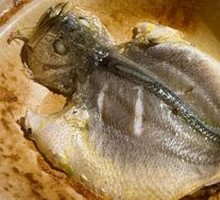 88-Second Yellow Croaker