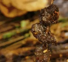 Zhaotong Small Beef