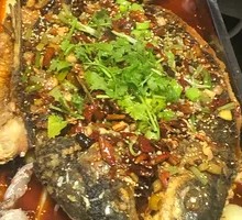 Grilled Fish