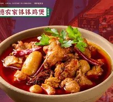 Changde Farmhouse Boiled Chicken in Pot