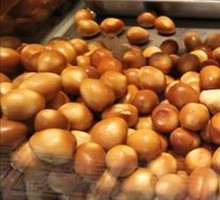 Quail Egg
