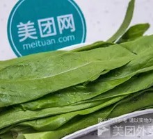 Oilseed lettuce