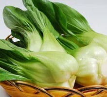 Oilseed lettuce