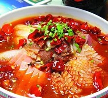 Premium Maoxuewang