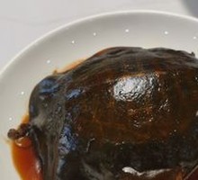 Braised Softshell Turtle in Sauce