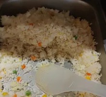 Fried Rice with Eggs