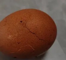 Tea-Infused Eggs