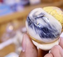Fertilized Duck Egg