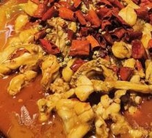 Spicy Bullfrog 2.5 lbs