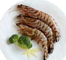 Live Prawn per Pound