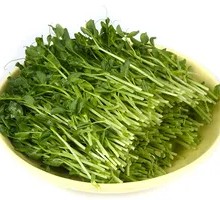 Pea Shoots