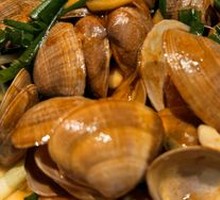 Yellow Clam