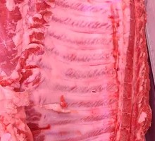Pork Ribs