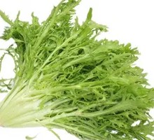 Eruca Salad