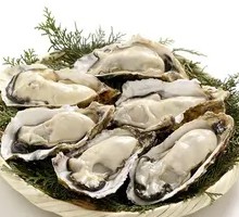 Fresh Oyster Sashimi