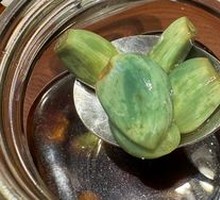 Labas Garlic